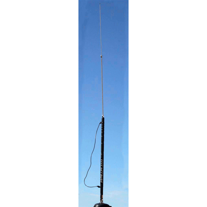 Proxel Pro1 Tipo Outback 2000